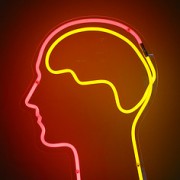 Der Google Effekt – Out of Memory