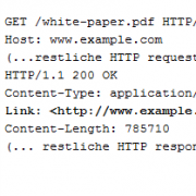 rel=”canonical” im HTTP-Header übergeben